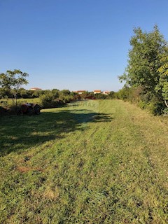 Stavbno zemljišče Peruški, Marčana, 1.967m2