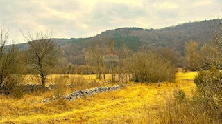 Stavbno zemljišče Završje, Grožnjan, 12.991m2