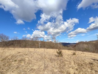 Stavbno zemljišče Ljubošina, Vrbovsko, 4.820m2