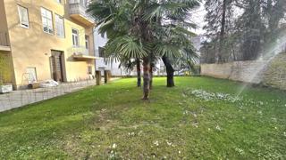 Stanovanje/Apartma Donji grad, Donji Grad, 48m2