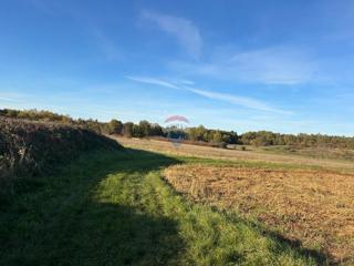 Stavbno zemljišče Mušalež, Poreč, 1.632m2