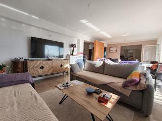 Hiša Donja Drenova, Sveti Ivan Zelina, 580m2