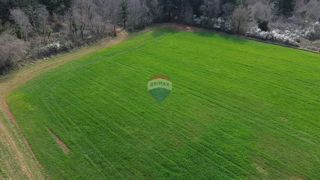 Stavbno zemljišče Markovići, Vižinada, 17.273m2