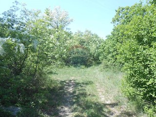 Stavbno zemljišče Krnica, Marčana, 124.639m2