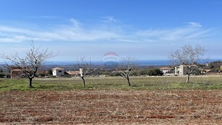 Kaštelir, Kaštelir-Labinci, 1.219m2