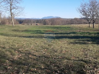 Stavbno zemljišče Beram, Pazin - Okolica, 1.975m2