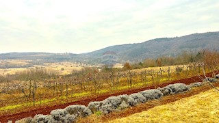 Stavbno zemljišče Završje, Grožnjan, 4.490m2