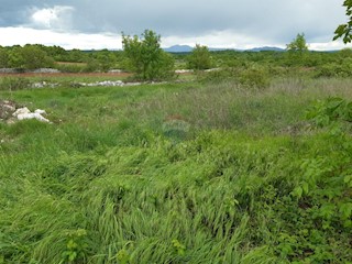 Stavbno zemljišče Barban, 1.381m2