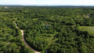 ISTRIA, BALE - agricultural land in a nice position