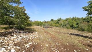 Stavbno zemljišče Kršete, Buje, 16.170m2