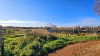 Stavbno zemljišče Umag, 569m2