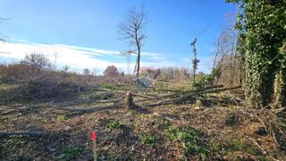 Stavbno zemljišče Umag, 3.672m2