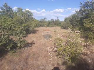 Juršići, Svetvinčenat, 139.018m2