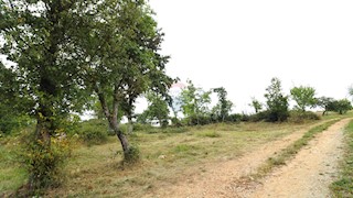 Stavbno zemljišče Sveti Lovreč, 588m2