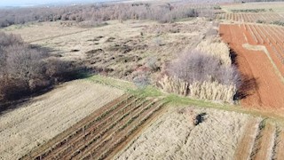 Stavbno zemljišče Kovači, Kaštelir-Labinci, 1.216m2