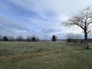 Stavbno zemljišče Puntera, Barban, 3.619m2