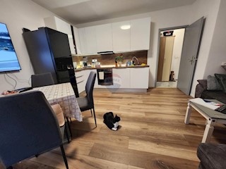 Stanovanje/Apartma Drenova, Rijeka, 50,04m2
