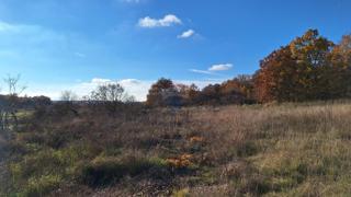 Stavbno zemljišče Barat, Kanfanar, 6.065m2