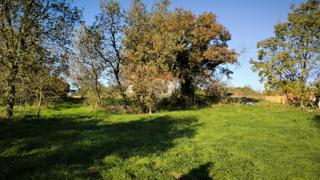 Istra, Marčana – Gradbena parcela, 700 m2