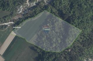 Stavbno zemljišče Trviž, Pazin - Okolica, 36.921m2