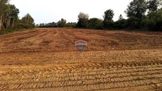 Stavbno zemljišče Lupoglav, Brckovljani, 11.434m2