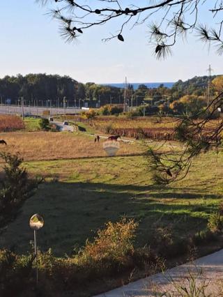 Stavbno zemljišče Mugeba, Poreč, 1.290m2