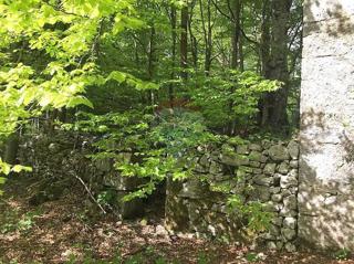 Stavbno zemljišče Bribir, Vinodolska Općina, 5.000m2