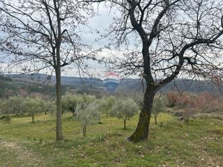 Stavbno zemljišče Buje, 608m2