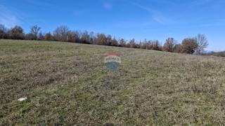 Stavbno zemljišče Momjan, Buje, 28.978m2