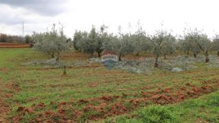 Stavbno zemljišče Poreč, 10.200m2