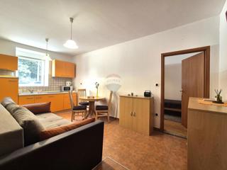 Stanovanje/Apartma Potok, Rijeka, 41,65m2