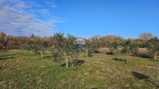 Stavbno zemljišče Lovrečica, Umag, 1.327m2