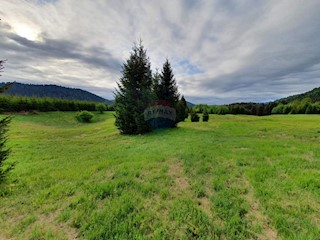 Ravna Gora, 12.304m2