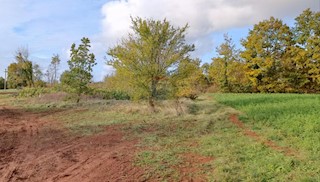Istra, Žminj – Zazidljivo zemljišče na lepi lokaciji