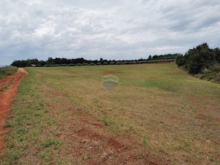 Stavbno zemljišče Kaštelir, Kaštelir-Labinci, 5.430m2