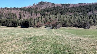 Stavbno zemljišče Sunger, Mrkopalj, 4.571m2