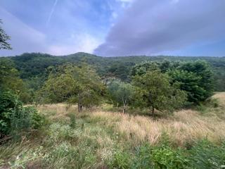 Hiša Sovinjak, Buzet, 57.356m2