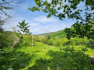 Stavbno zemljišče Sovinjak, Buzet, 20.001m2