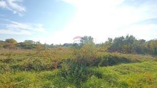 Stavbno zemljišče Novigrad, 659m2