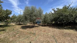 Stavbno zemljišče Višnjan, 638m2