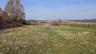 Stavbno zemljišče Čepljani, Umag, 2.490m2