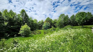 Stari Laz, Ravna Gora, 2.331m2