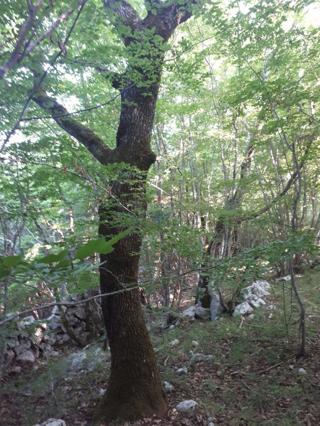 Stavbno zemljišče Garica, Vrbnik, 34,52m2