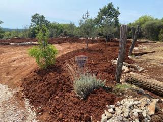 Stavbno zemljišče Bale, 493m2