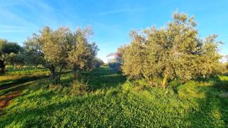 Stavbno zemljišče Finida, Umag, 1.899m2