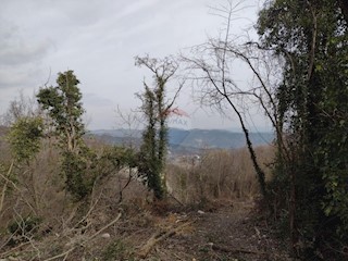 Stavbno zemljišče Pićan, 52.831m2