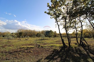 Kaštelir, Kaštelir-Labinci, 8.578m2