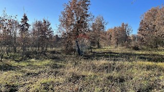 Stavbno zemljišče Jasenovica, Poreč, 8.520m2