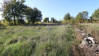 Stavbno zemljišče Baderna, Poreč, 2.930m2