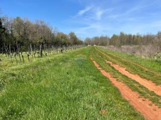 Istra, Lovrečica, Kanal – Kmetijsko Zemljišče 3.795 m²